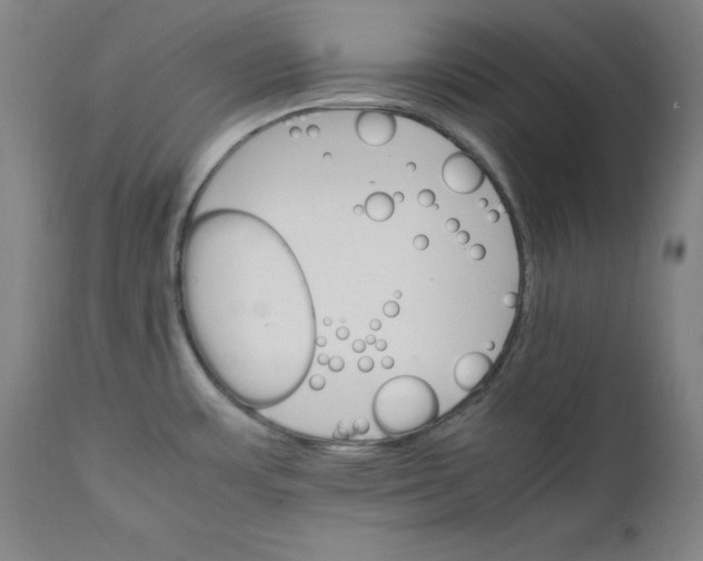 X0000111231483200907161304