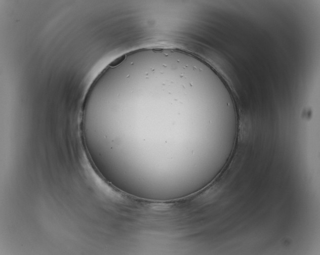 X0000111231484200907161304