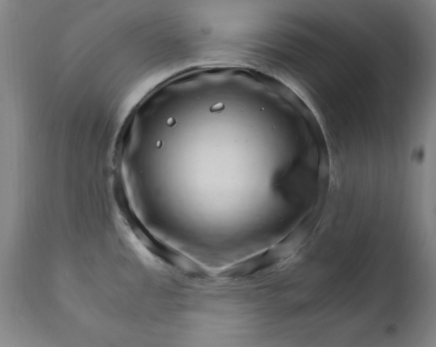 X0000111231485200907161304