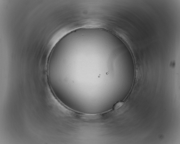 X0000111231487200907161304