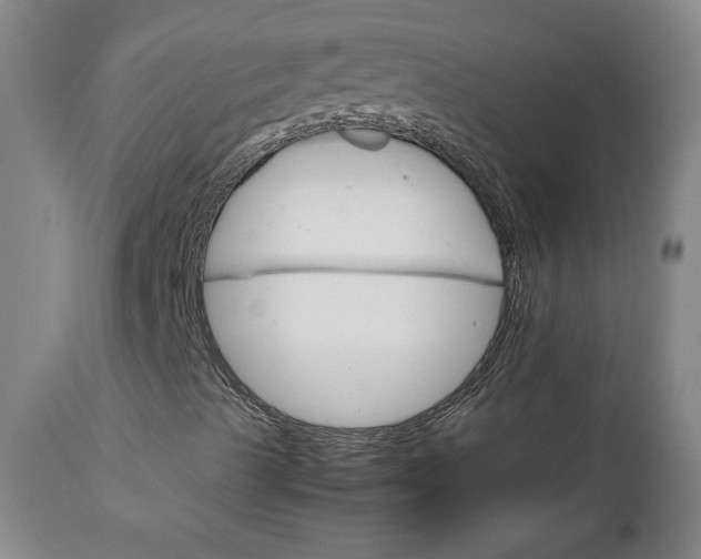 X0000111231489200907161304