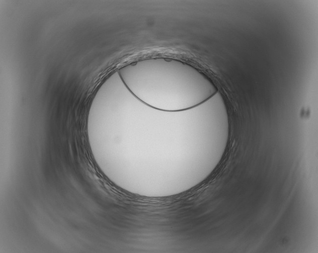 X0000111231492200907161304
