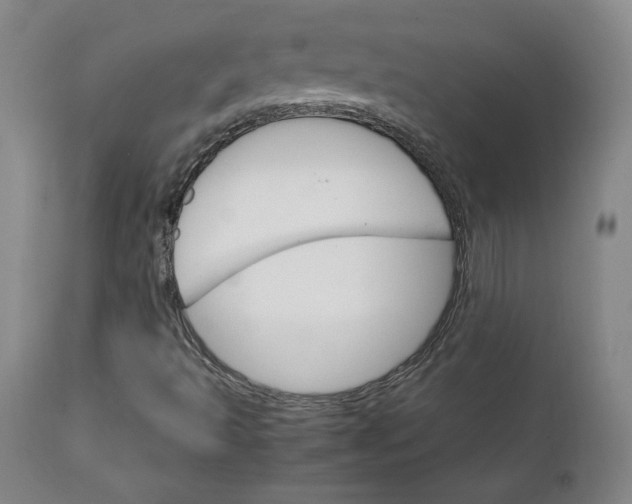 X0000111231493200907161304