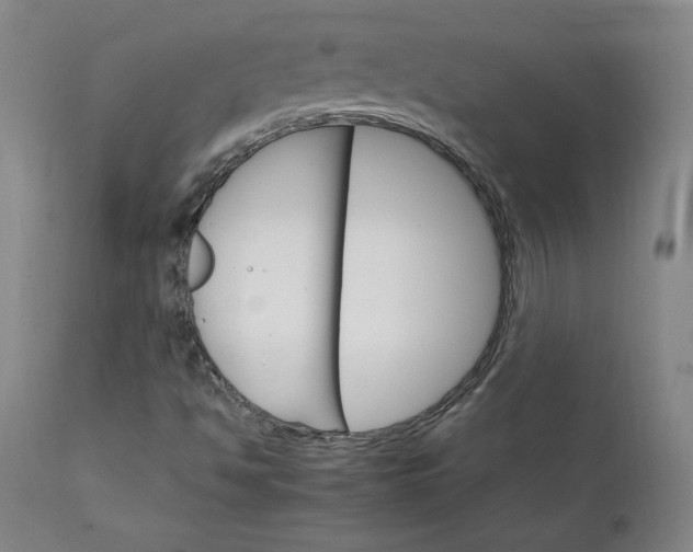 X0000111231494200907161304