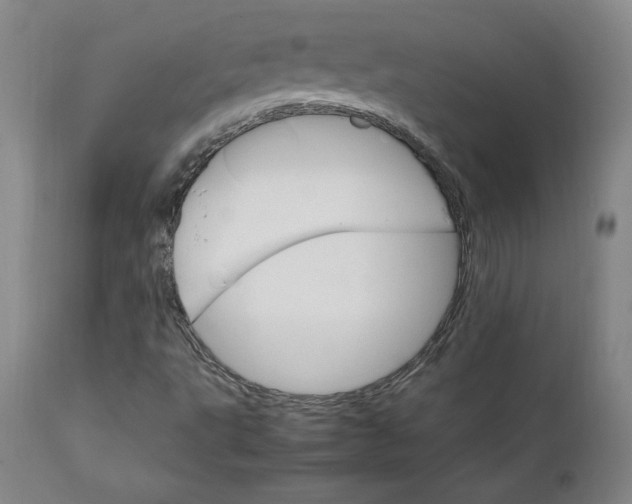 X0000111231495200907161304