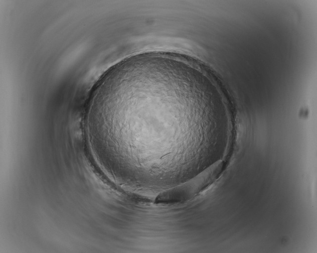 X0000111231497200907161304