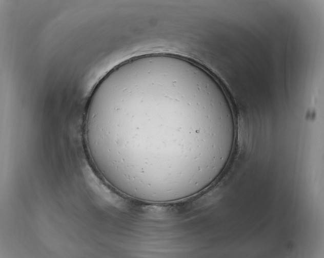 X0000111231500200907161304