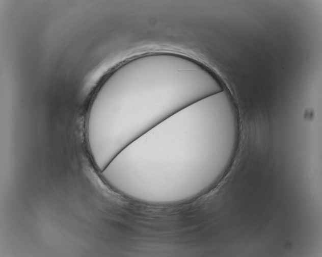 X0000111231503200907161304