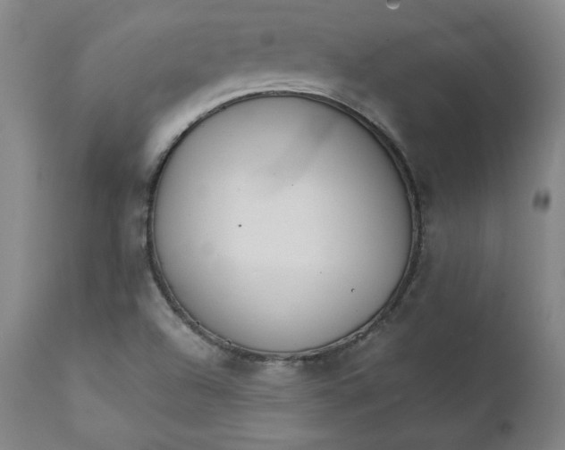 X0000111231504200907161304