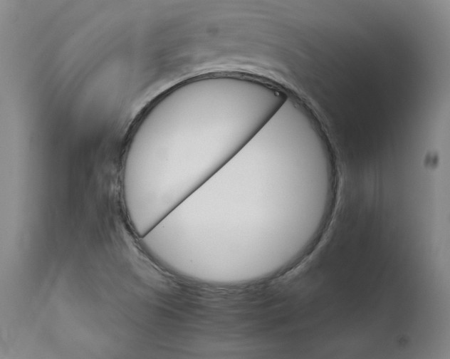 X0000111231505200907161304