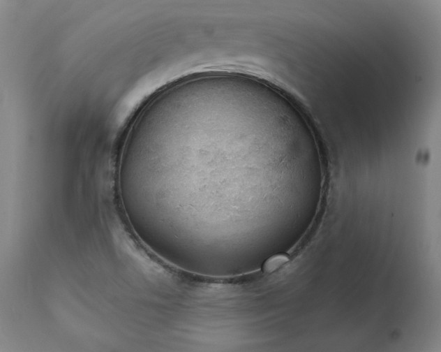 X0000111231506200907161304
