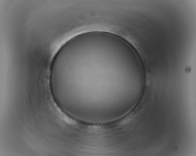 X0000111231508200907161304