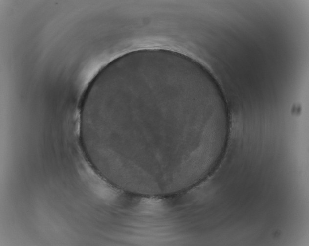 X0000111231509200907161304