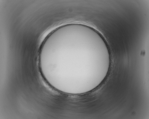 X0000111231511200907161304