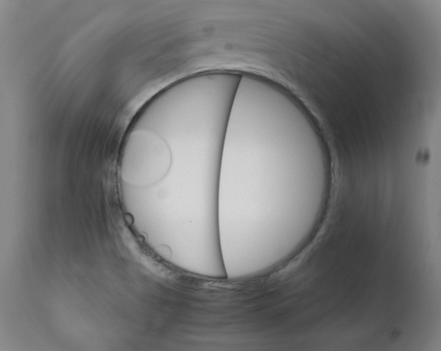 X0000111231513200907161304
