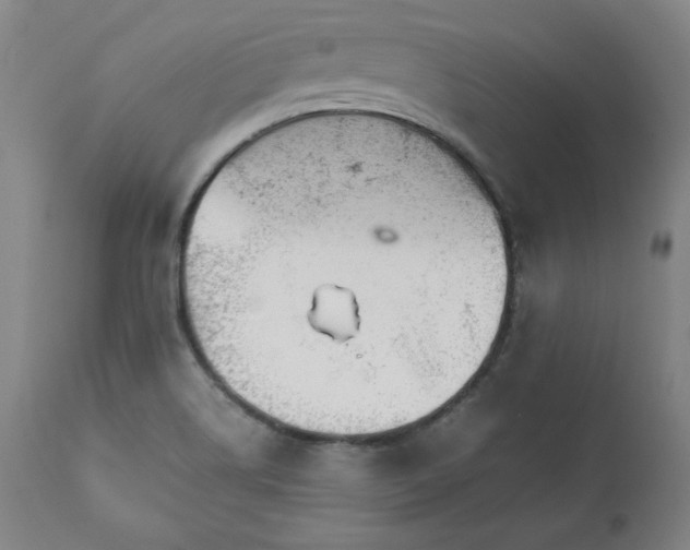 X0000111231514200907161304