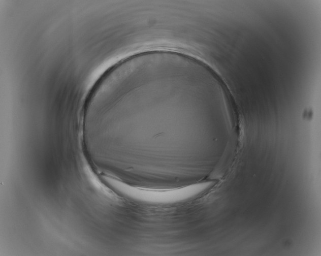 X0000111231515200907161304