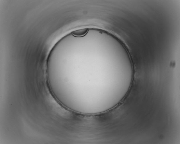 X0000111231516200907161304
