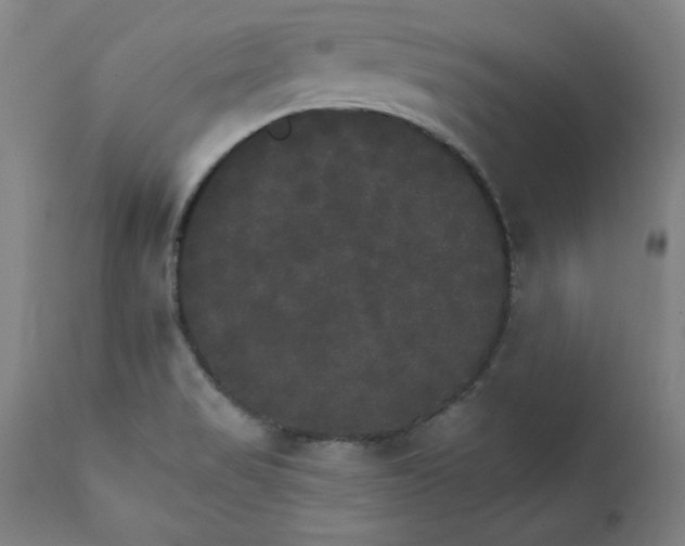 X0000111231517200907161304