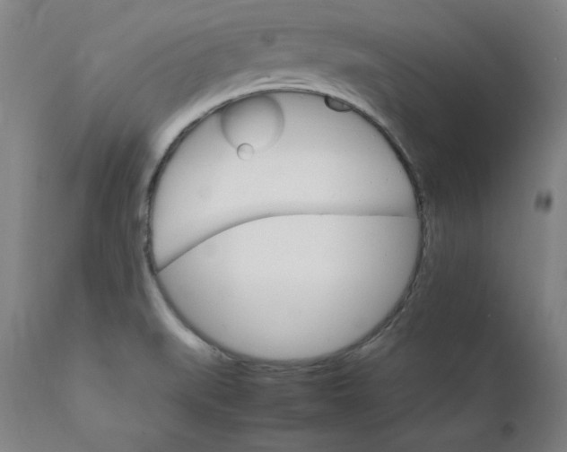 X0000111231519200907161304