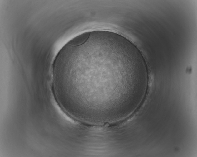 X0000111231520200907161304