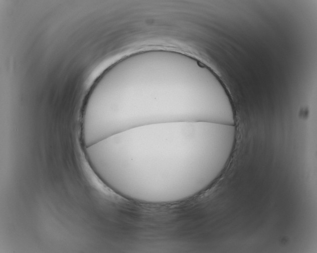 X0000111231523200907161304