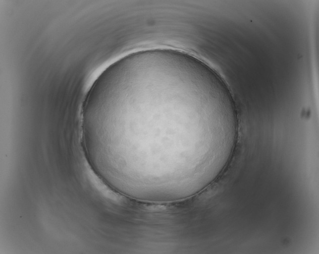 X0000111231524200907161304