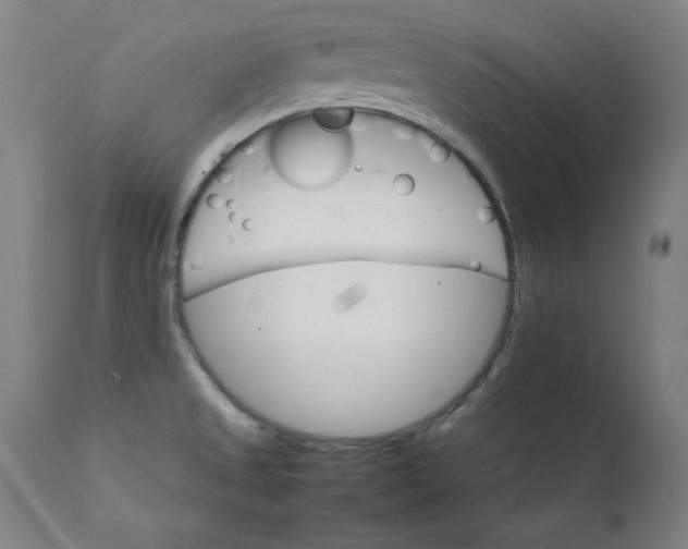 X0000111231525200907161304