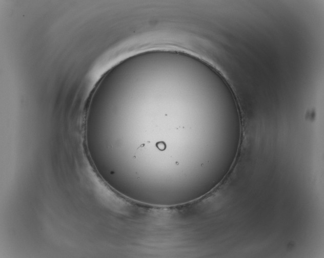 X0000111231526200907161304