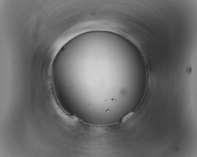 X0000111231528200907161304
