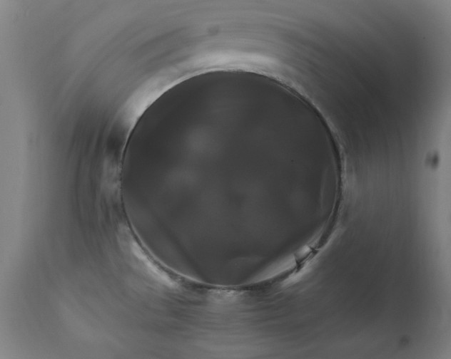 X0000111231529200907161304