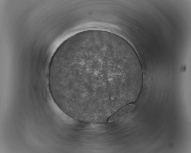 X0000111231531200907161304