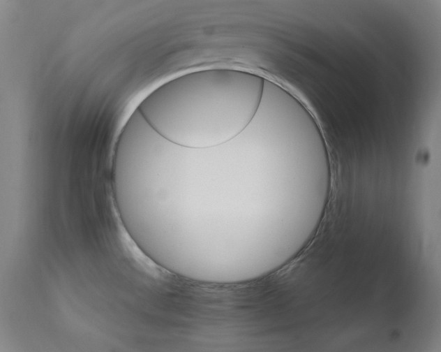 X0000111231532200907161304