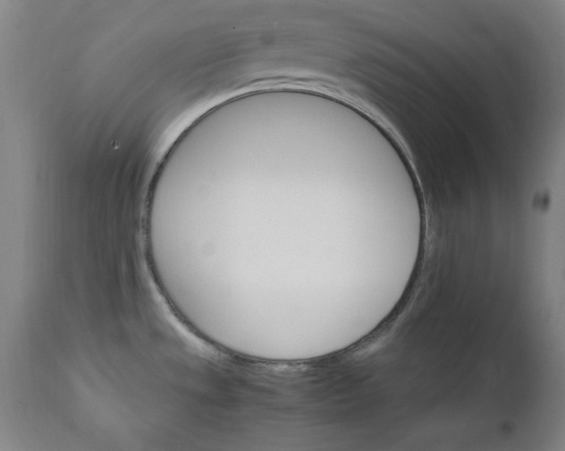 X0000111231533200907161304