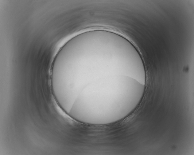 X0000111231535200907161304