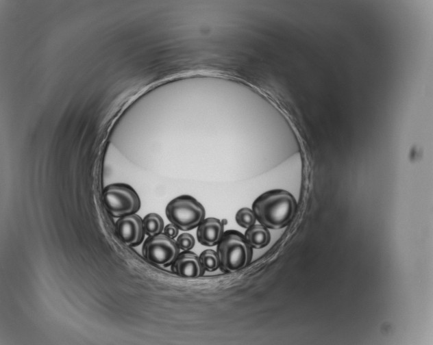 X0000111230001200907231515