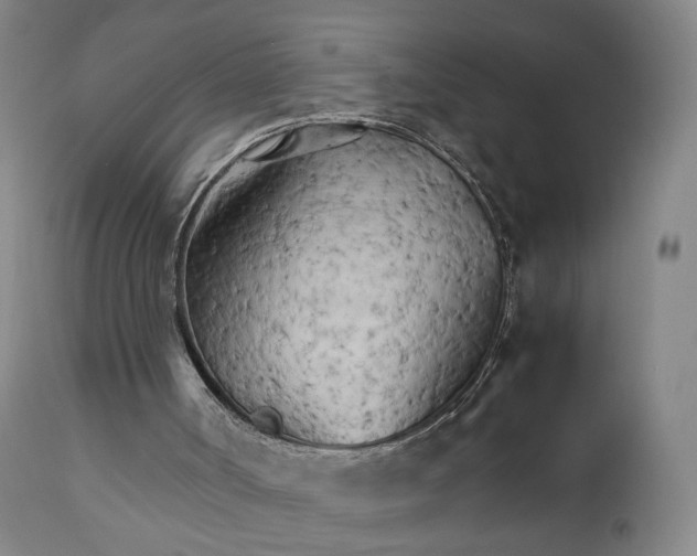 X0000111230002200907231515