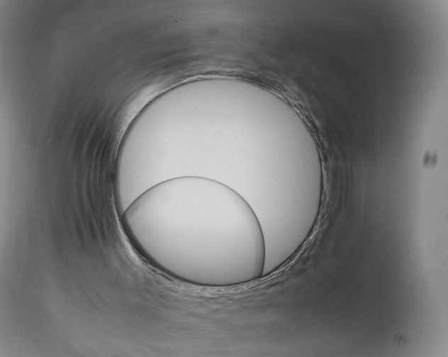 X0000111230003200907231515