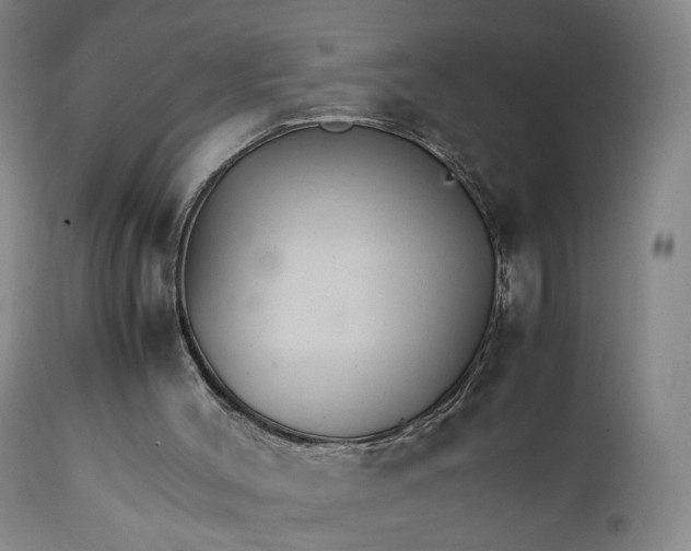 X0000111230004200907231515