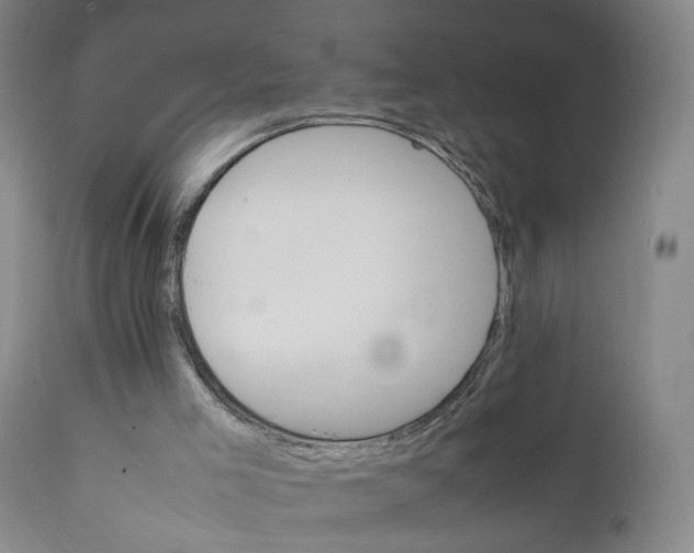 X0000111230005200907231515