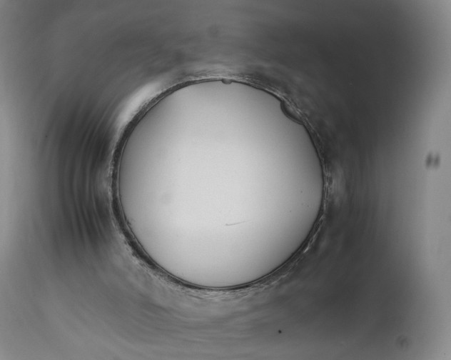 X0000111230006200907231515