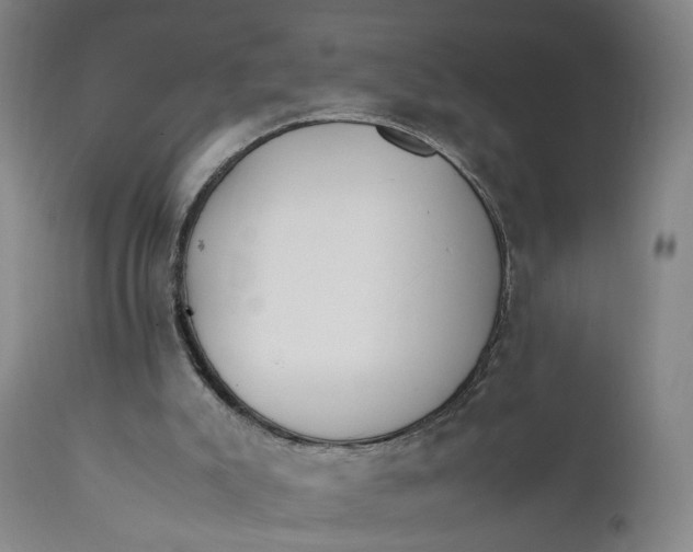 X0000111230007200907231515