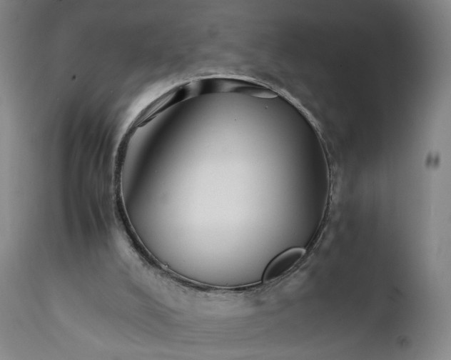 X0000111230008200907231515