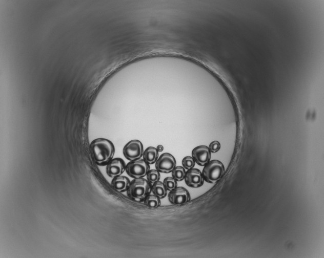 X0000111230009200907231515