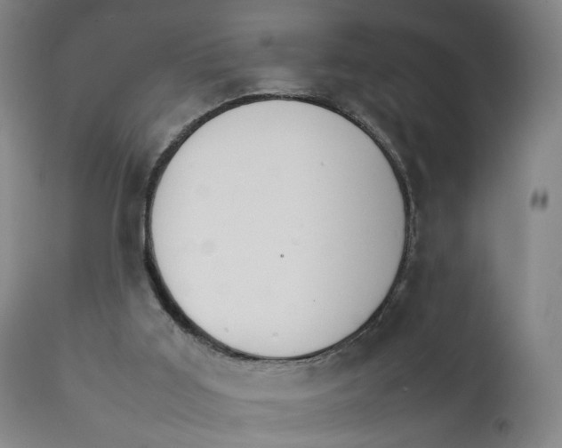 X0000111230011200907231515