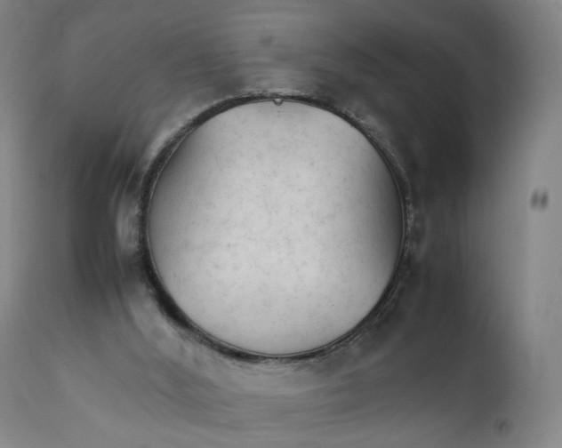 X0000111230012200907231515