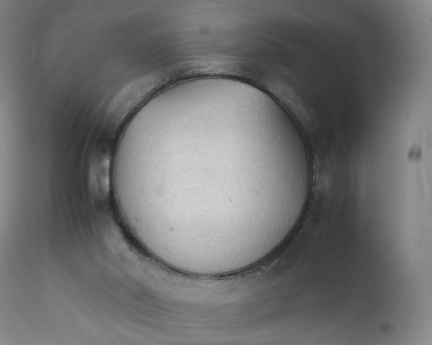 X0000111230014200907231515