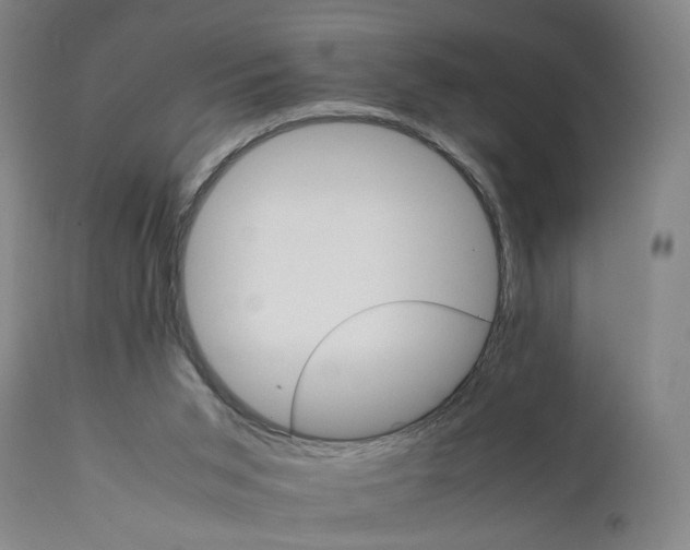 X0000111230015200907231515