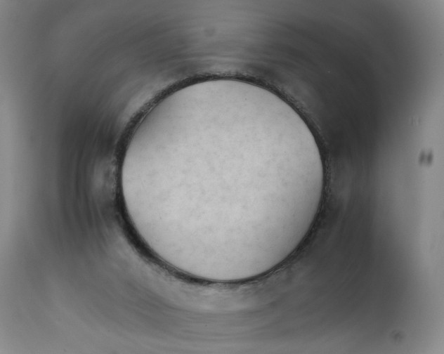 X0000111230016200907231515