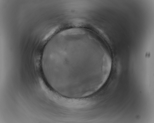 X0000111230018200907231515